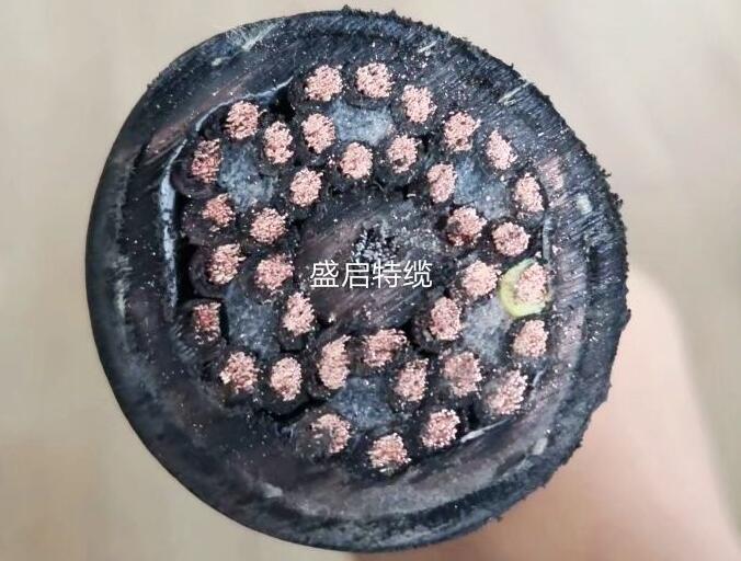 蓄纜框吊具電纜SSQH     36G2.5